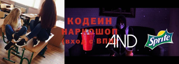 apvp Алзамай