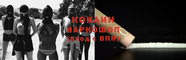 apvp Алзамай