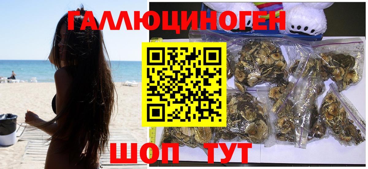 Псилоцибиновые грибы Cubensis  Вход с VPN  хочу   Батайск 
